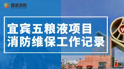 項目動態(tài)| 宜賓五糧液維保工作正有序推進(jìn)~